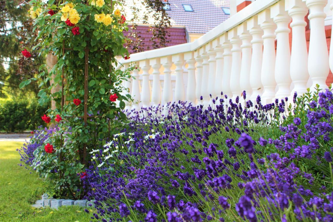 Rosen Villa Kappeln Buitenkant foto